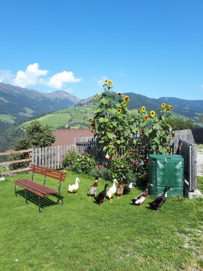 Villa Ferienhaus Unterblasbichl Fusch an der Glocknerstraße Exterior foto
